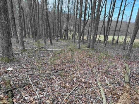 0 Mount Hebron Road Volga WV 26238