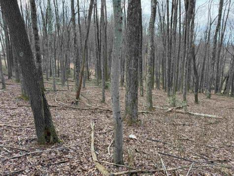 0 Mount Hebron Road Volga WV 26238
