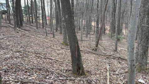 0 Mount Hebron Road Volga WV 26238