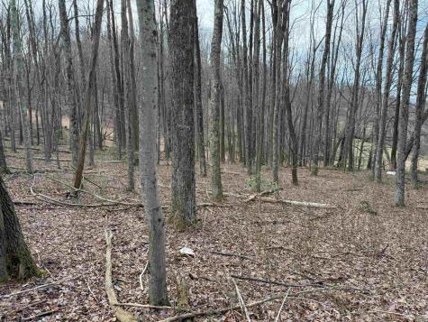 0 Mount Hebron Road Volga WV 26238
