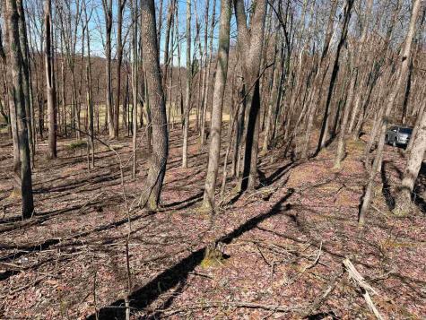 0 Mount Hebron Road Volga WV 26238