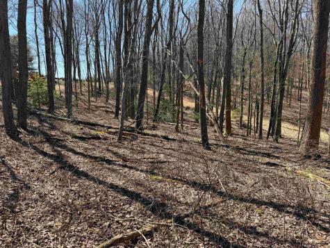 0 Mount Hebron Road Volga WV 26238