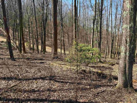 0 Mount Hebron Road Volga WV 26238