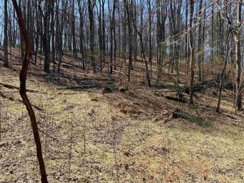 0 Mount Hebron Road Volga WV 26238