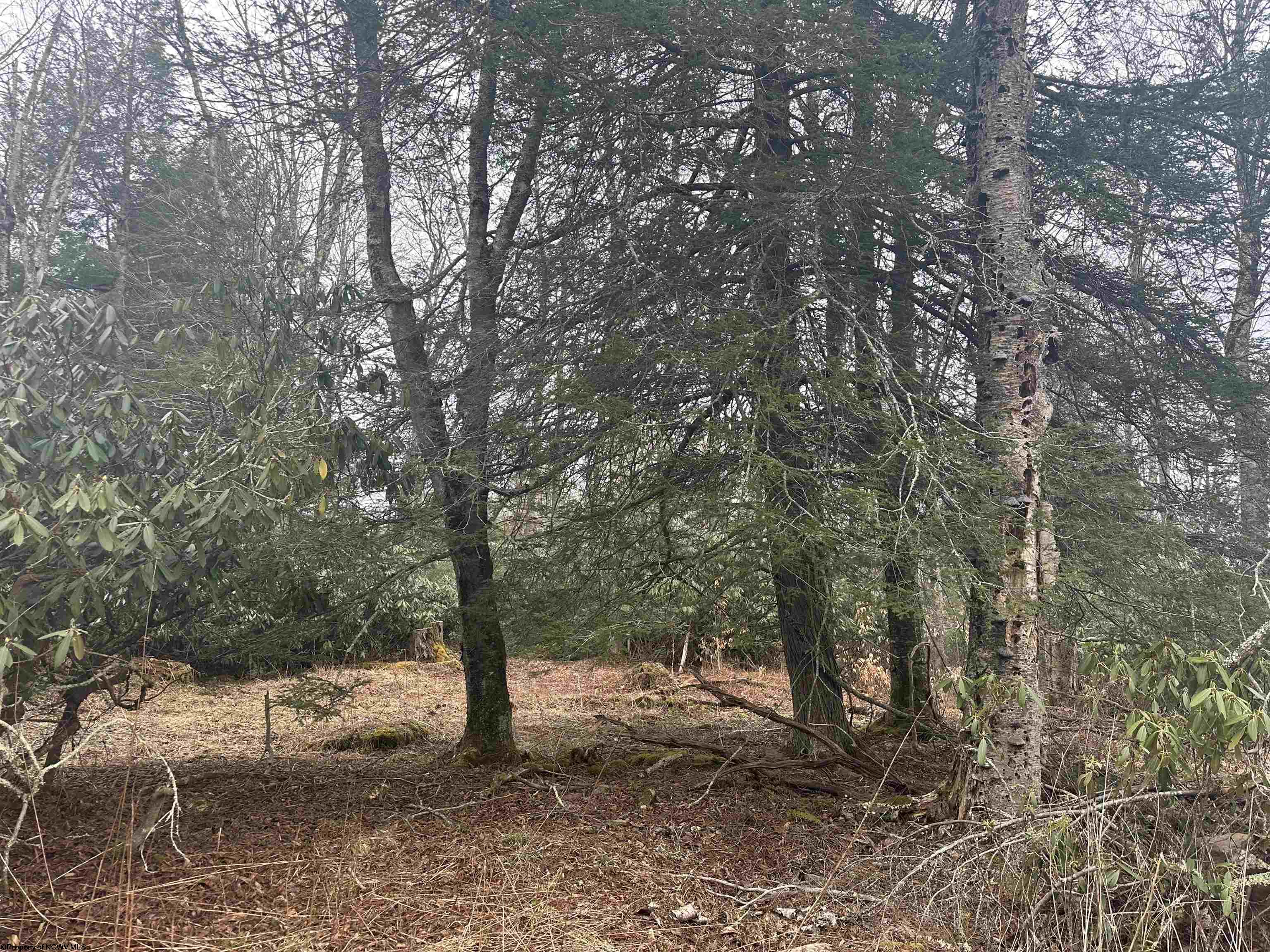 4 Medici Lane Davis WV 26260