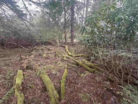 4 Medici Lane Davis WV 26260