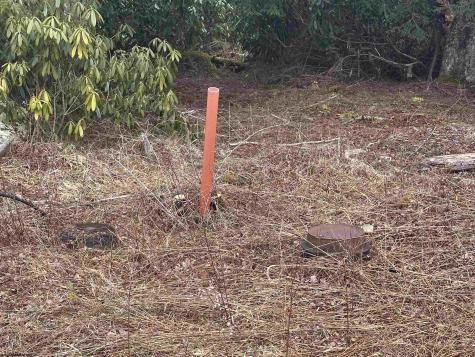 4 Medici Lane Davis WV 26260