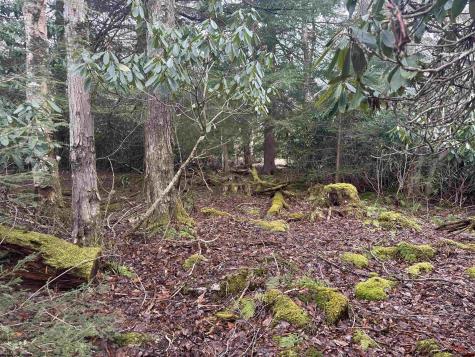 4 Medici Lane Davis WV 26260