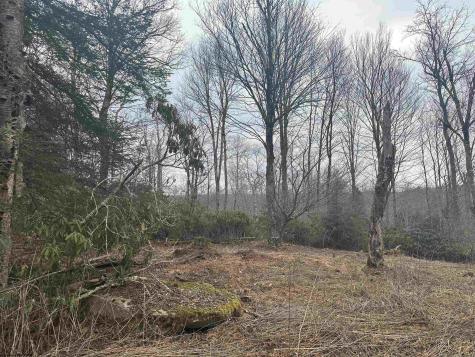 4 Medici Lane Davis WV 26260