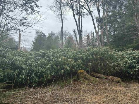 4 Medici Lane Davis WV 26260