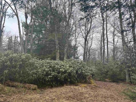 4 Medici Lane Davis WV 26260