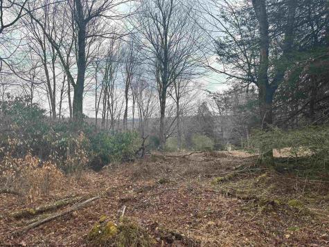 4 Medici Lane Davis WV 26260