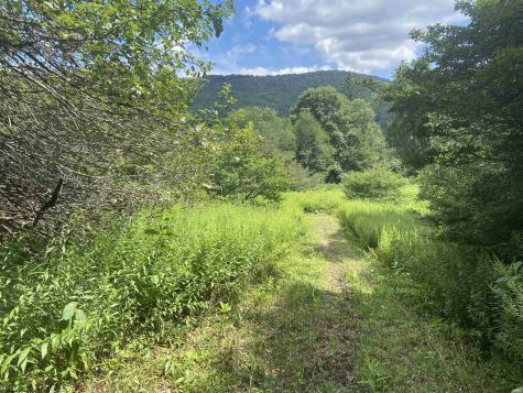 Lot 135 Sunset Mountain Village Drive Slaty Fork WV 26291