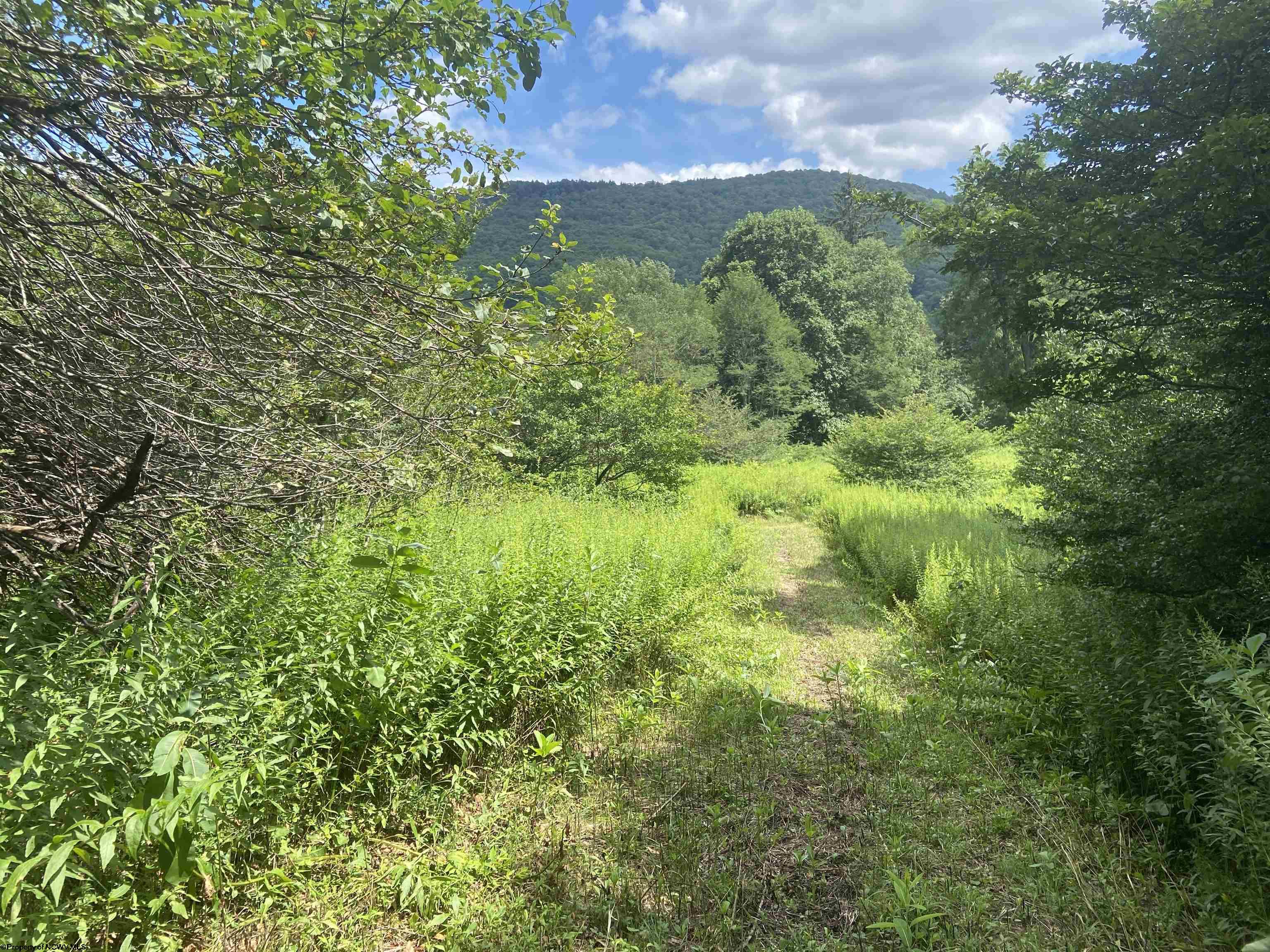 135 Sunset Mountain Village Drive Slaty Fork WV 26291