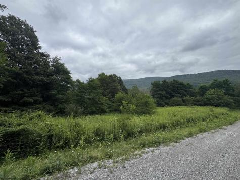 135 Sunset Mountain Village Drive Slaty Fork WV 26291