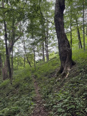 135 Sunset Mountain Village Drive Slaty Fork WV 26291
