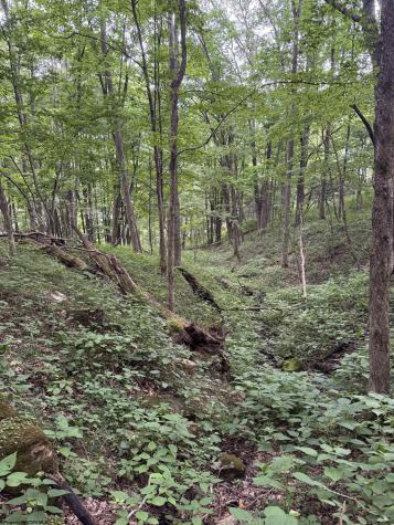 135 Sunset Mountain Village Drive Slaty Fork WV 26291