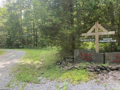135 Sunset Mountain Village Drive Slaty Fork WV 26291