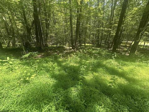 134 Windflower Drive Terra Alta WV 26766