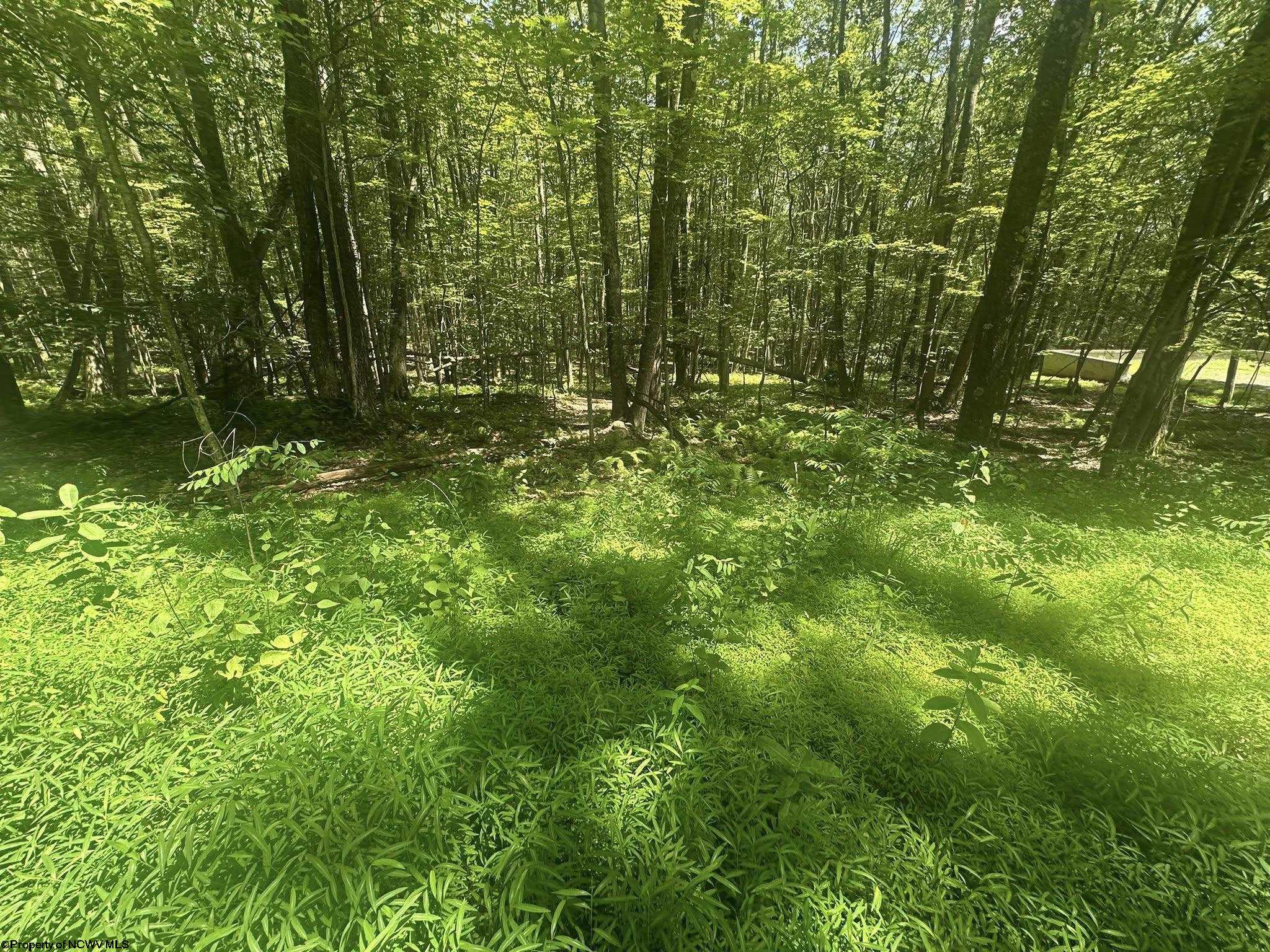 134 Windflower Drive Terra Alta WV 26766