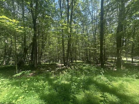 134 Windflower Drive Terra Alta WV 26766