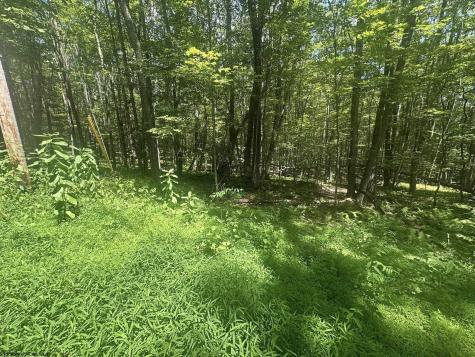 134 Windflower Drive Terra Alta WV 26766