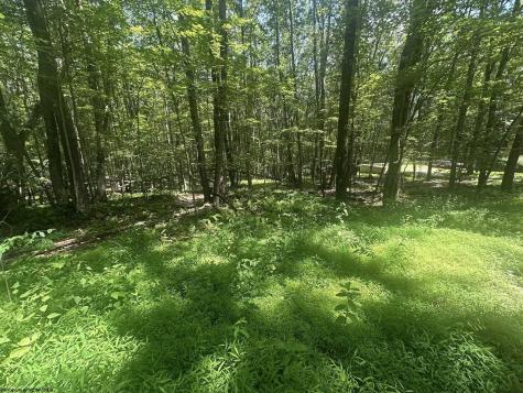 134 Windflower Drive Terra Alta WV 26766