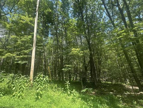 134 Windflower Drive Terra Alta WV 26766