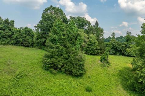 0 Cleveland Avenue Fairmont WV 26554