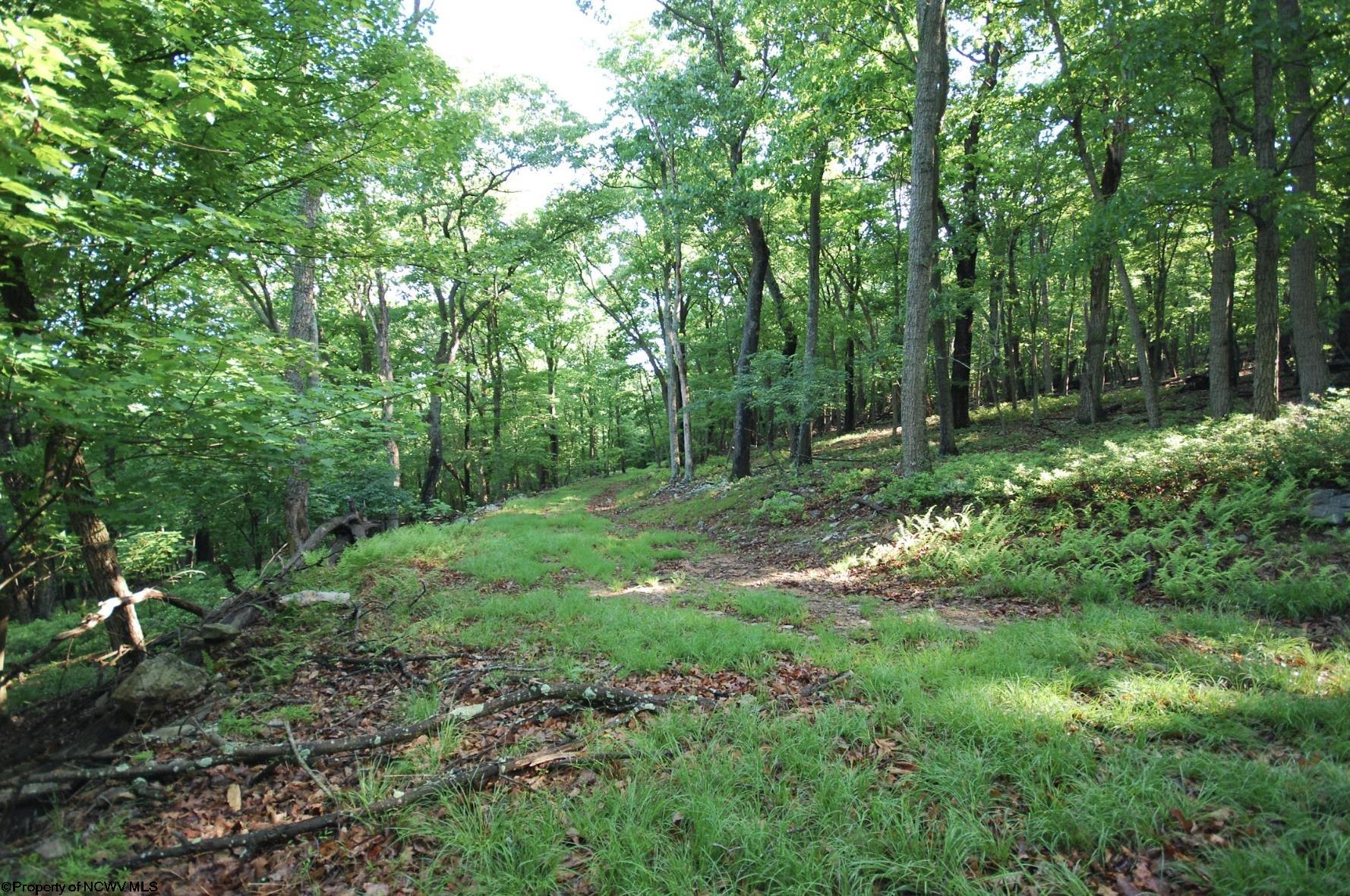23 Long Lick Run Road Baker WV 26801