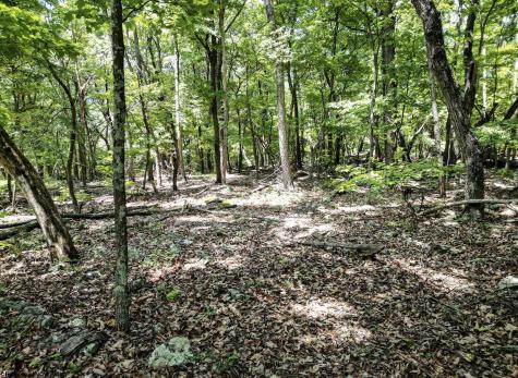 23 Long Lick Run Road Baker WV 26801