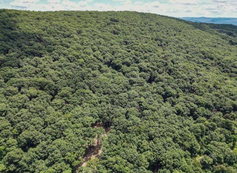 23 Long Lick Run Road Baker WV 26801