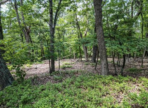23 Long Lick Run Road Baker WV 26801