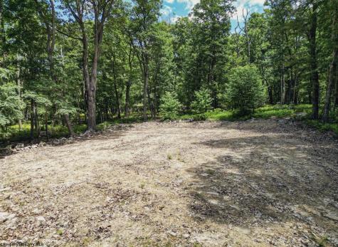 23 Long Lick Run Road Baker WV 26801