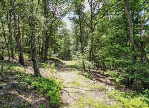 23 Long Lick Run Road Baker WV 26801