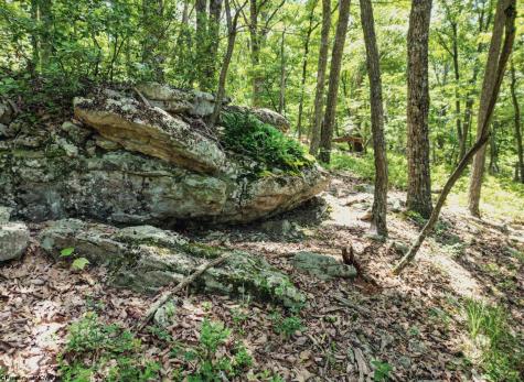 23 Long Lick Run Road Baker WV 26801