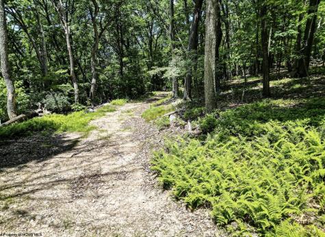 23 Long Lick Run Road Baker WV 26801