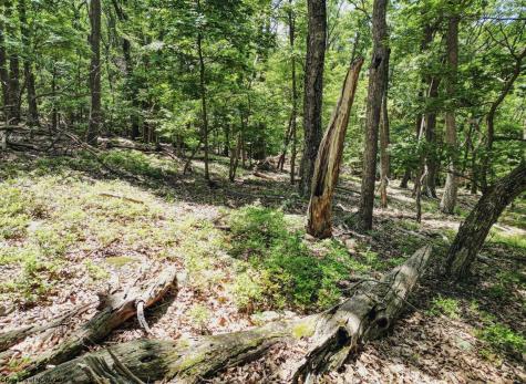 23 Long Lick Run Road Baker WV 26801