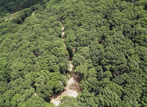 23 Long Lick Run Road Baker WV 26801