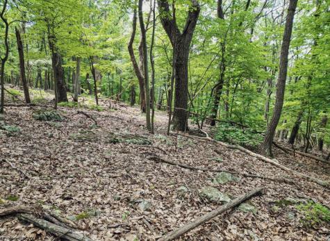 23 Long Lick Run Road Baker WV 26801