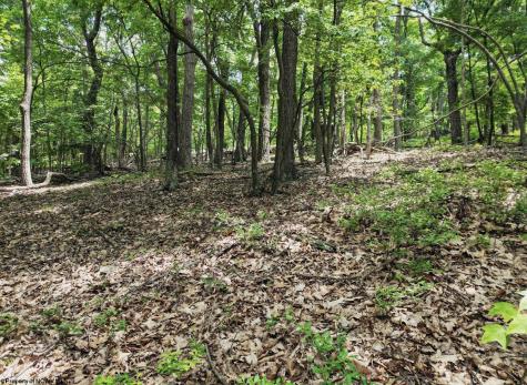 23 Long Lick Run Road Baker WV 26801
