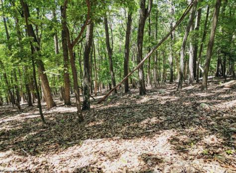 23 Long Lick Run Road Baker WV 26801
