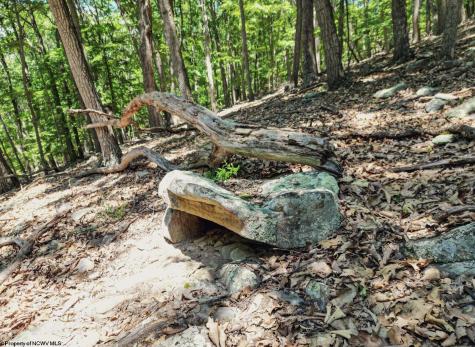 23 Long Lick Run Road Baker WV 26801