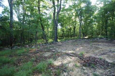 23 Long Lick Run Road Baker WV 26801