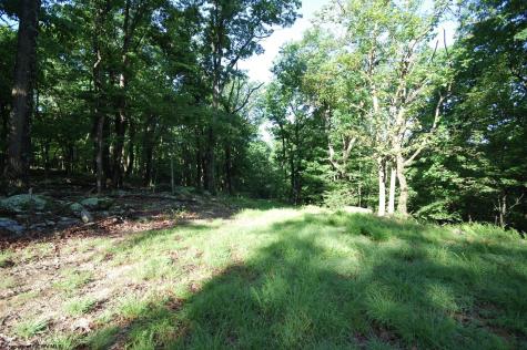 23 Long Lick Run Road Baker WV 26801