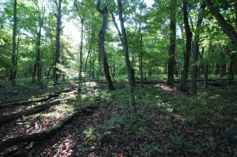 23 Long Lick Run Road Baker WV 26801