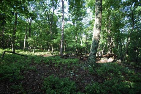 23 Long Lick Run Road Baker WV 26801