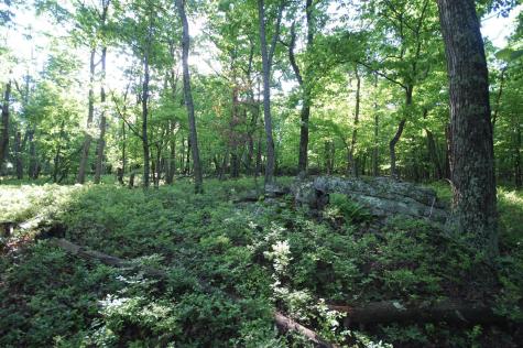 23 Long Lick Run Road Baker WV 26801