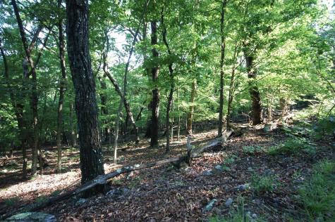 23 Long Lick Run Road Baker WV 26801