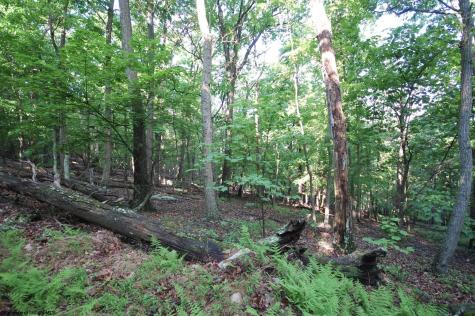 23 Long Lick Run Road Baker WV 26801